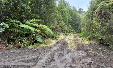 PARCELA DE 7450M2 CON ACCESO PRIVADO EN CHONCHI, CHILOÉ