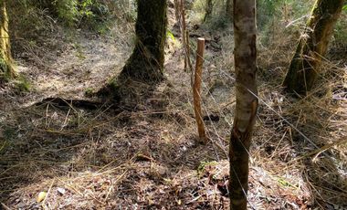 PARCELA DE 7450M2 CON ACCESO PRIVADO EN CHONCHI, CHILOÉ