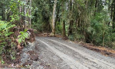 PARCELA DE 7450M2 CON ACCESO PRIVADO EN CHONCHI, CHILOÉ