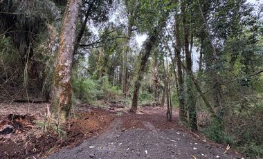 PARCELA DE 7450M2 CON ACCESO PRIVADO EN CHONCHI, CHILOÉ