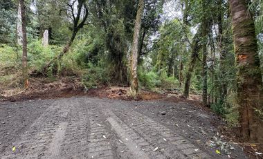PARCELA DE 7450M2 CON ACCESO PRIVADO EN CHONCHI, CHILOÉ