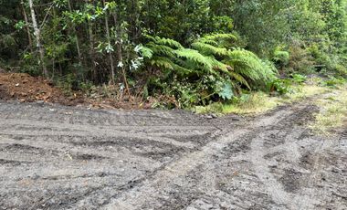 PARCELA DE 7450M2 CON ACCESO PRIVADO EN CHONCHI, CHILOÉ