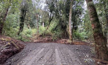 PARCELA DE 7450M2 CON ACCESO PRIVADO EN CHONCHI, CHILOÉ
