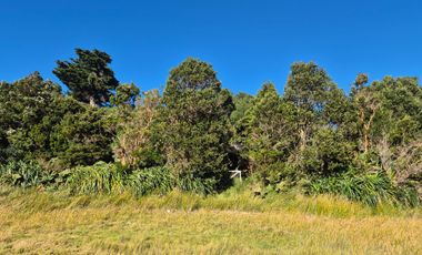 1 HA EN CHILOÉ, ISLA QUINCHAO, VISTA AL MAR, ORILLA Y CASA