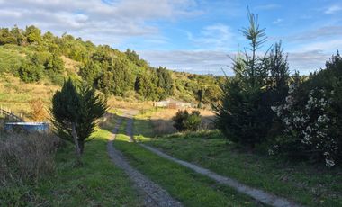 1 HA EN CHILOÉ, ISLA QUINCHAO, VISTA AL MAR, ORILLA Y CASA