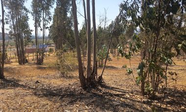 OPORTUNIDAD PARCELA EN PERALILLO 5000 M2