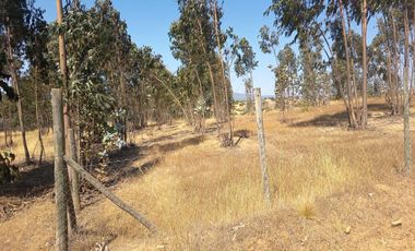 OPORTUNIDAD PARCELA EN PERALILLO 5000 M2