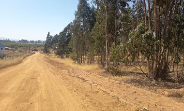 OPORTUNIDAD PARCELA EN PERALILLO 5000 M2