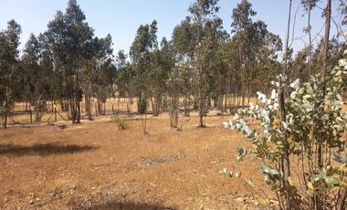 OPORTUNIDAD PARCELA EN PERALILLO 5000 M2