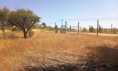 OPORTUNIDAD PARCELA EN PERALILLO 5000 M2