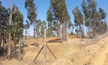 OPORTUNIDAD PARCELA EN PERALILLO 5000 M2