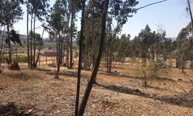 OPORTUNIDAD PARCELA EN PERALILLO 5000 M2