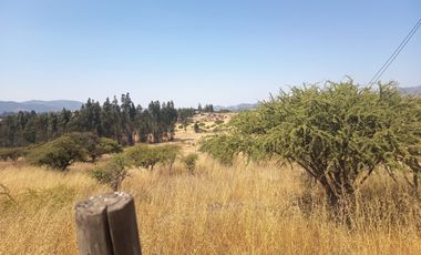 OPORTUNIDAD PARCELA EN PERALILLO 5000 M2