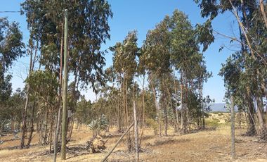 OPORTUNIDAD PARCELA EN PERALILLO 5000 M2