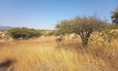 OPORTUNIDAD PARCELA EN PERALILLO 5000 M2