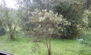 VENTA CASA 3HAB 2BA OSORNO