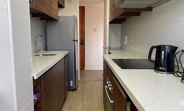 Departamento en Arriendo en Plaza Schwerter