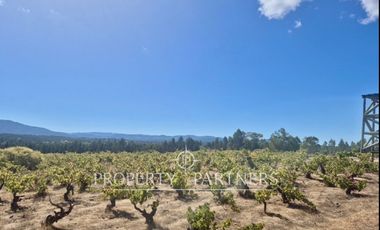 Exclusivo terreno en el corazon de Cauquenes