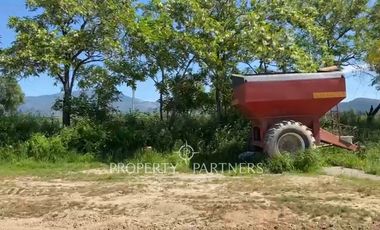 Campo productivo en arriendo