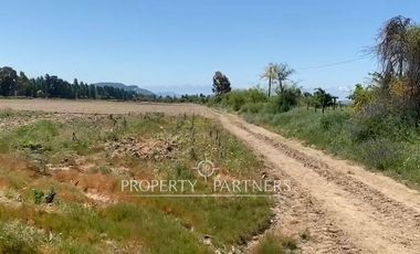 Campo productivo en arriendo