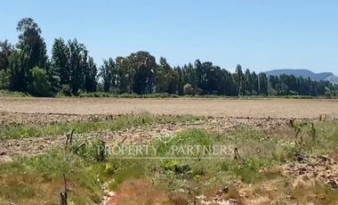 Campo productivo en arriendo