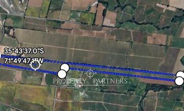 Campo productivo en arriendo