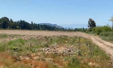 Campo productivo en arriendo