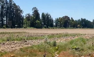 Campo productivo en arriendo
