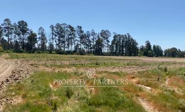 Campo productivo en arriendo