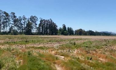 Campo productivo en arriendo