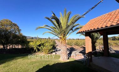 Espectacular parcela productiva con cerezos y casa en Teno