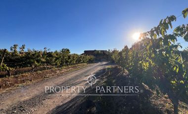 Espectacular parcela productiva con cerezos y casa en Teno