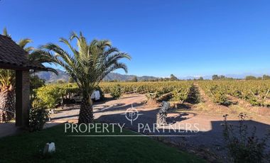 Espectacular parcela productiva con cerezos y casa en Teno