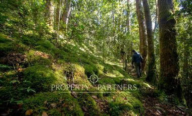 Parcelas agrícolas urbanizadas en Piruquina, alta plusvalía, Chiloé