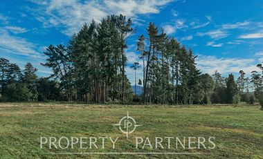 Parcelas agrícolas urbanizadas en Piruquina, alta plusvalía, Chiloé