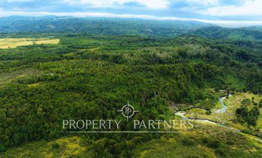 Parcelas agrícolas urbanizadas en Piruquina, alta plusvalía, Chiloé