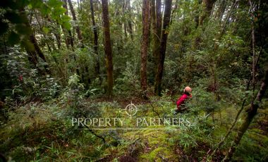 Parcelas agrícolas urbanizadas en Piruquina, alta plusvalía, Chiloé