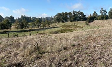 Venta Sector Pilpilco - Maquehue, Padre Las Casas