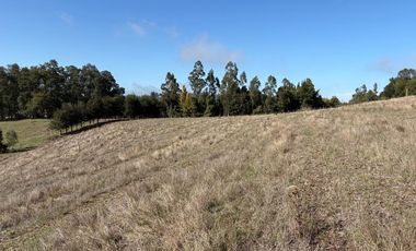 Venta Sector Pilpilco - Maquehue, Padre Las Casas