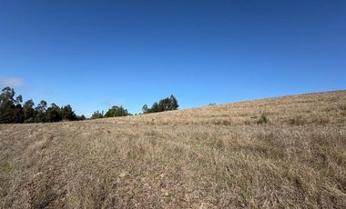 Venta Sector Pilpilco - Maquehue, Padre Las Casas