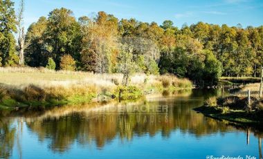 PRECIOSO CAMPO DE 11HA CON RIO Y LAGUNA, SECTOR COÑICO