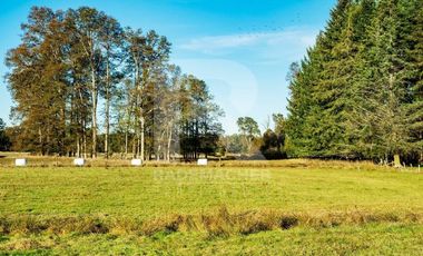PRECIOSO CAMPO DE 11HA CON RIO Y LAGUNA, SECTOR COÑICO