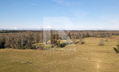 PRECIOSO CAMPO DE 11HA CON RIO Y LAGUNA, SECTOR COÑICO