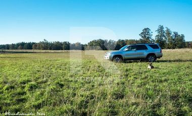 PRECIOSO CAMPO DE 11HA CON RIO Y LAGUNA, SECTOR COÑICO