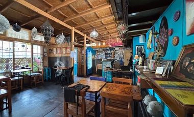 VICUÑA MACKENNA, AV. LA FLORIDA, LOCAL COMERCIAL