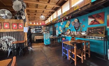 VICUÑA MACKENNA, AV. LA FLORIDA, LOCAL COMERCIAL