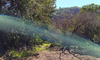 PARCELAS DE AGRADO DE 5.000M2