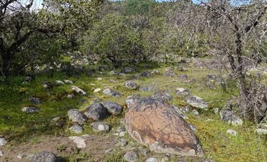 PARCELAS DE AGRADO DE 5.000M2