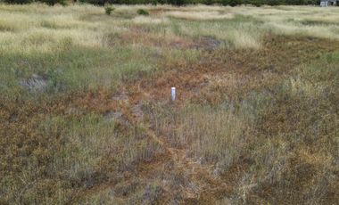 PARCELA 10.000 M2 EN CHUCHUNCO, LA ESTRELLA
