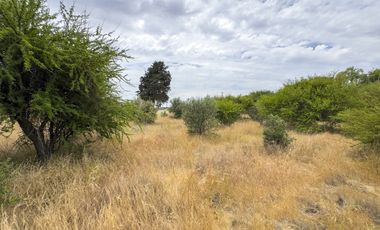 PARCELA 10.000 M2 EN CHUCHUNCO, LA ESTRELLA